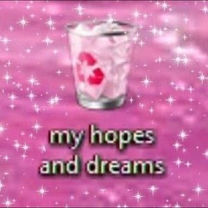 Meet your Posher, Destaney